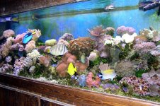 (114)@@! (medium).jpg