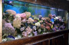 (112)@@! (small).jpg