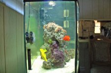 DSC_0002_edited-1.jpg