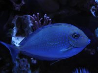 22-01-2006 W-7 080.jpg