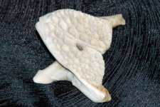 bone1.jpg