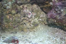 img_4496.jpg