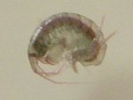 DSC01644.jpg