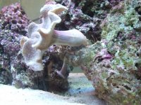 2006_07170001.JPG