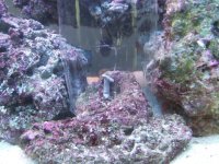 2006_07180001.JPG