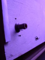 Tank Door 002.jpg