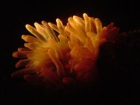 DSC01705 (Small).JPG