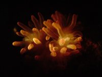 DSC01704 (Small).JPG