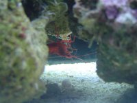 DSC01666 (Small).JPG