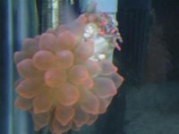 DSC01756 (Small).JPG