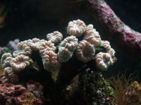 DSCF1122.JPG