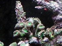 DSCF1124.JPG