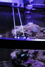 DSC_0015.jpg