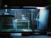 Refug remodel 7-06.JPG