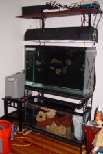 tank-filled-vert-2.jpg