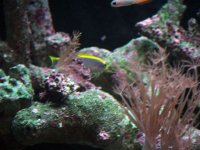 DSCF1178.JPG