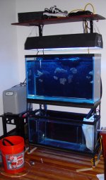 tank-filled-vert_72.jpg