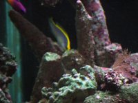 DSCF1180.JPG
