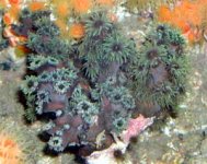 marinedepotlive_1865_17947892.jpg