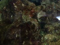 dscf0022.jpg
