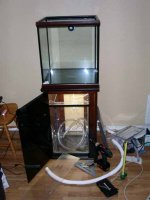 sump under tank.jpg
