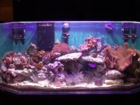 DSC05134web.jpg