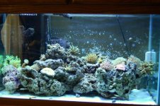 tank_7_10_06_900.jpg