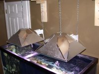Refugium Lighting 004.jpg