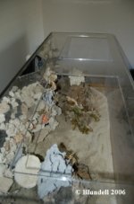 20060723_220322_Tank_Dry_2b.JPG.jpg
