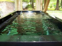 fishtank 015 (Custom).jpg