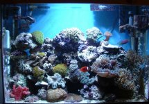Reef10-20-05.jpg