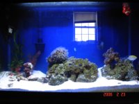 DSC01992.jpg