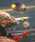 190_9071.JPG