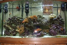IMG_1552.jpg