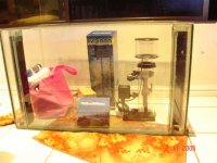 DSC00720.JPG