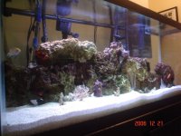 75 gallon tank 003.jpg