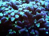 24-02-2006 w-7 074.jpg