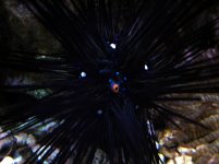 24-02-2006 w-7 064.jpg