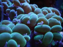 24-02-2006 w-7 044.jpg