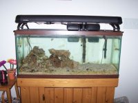 tank 9-3(2) ver2.jpg