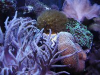 24-02-2006 w-7 105.jpg