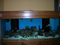 New pics 675 gal 001.jpg