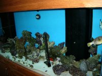 New pics 675 gal 002.jpg