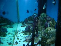 New pics 675 gal 010.jpg