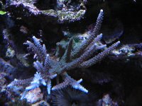 IMG_0840.jpg