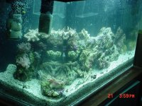DSC00417-1.JPG