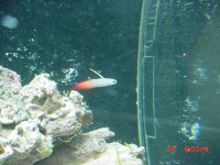 DSC00429-1.JPG
