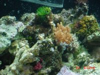 DSC00430-1.JPG
