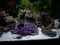Picture 063.jpg