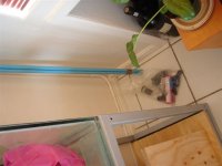 DSC00936.JPG
